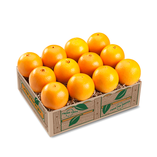 Florida Oranges Fruit Gift Shipping