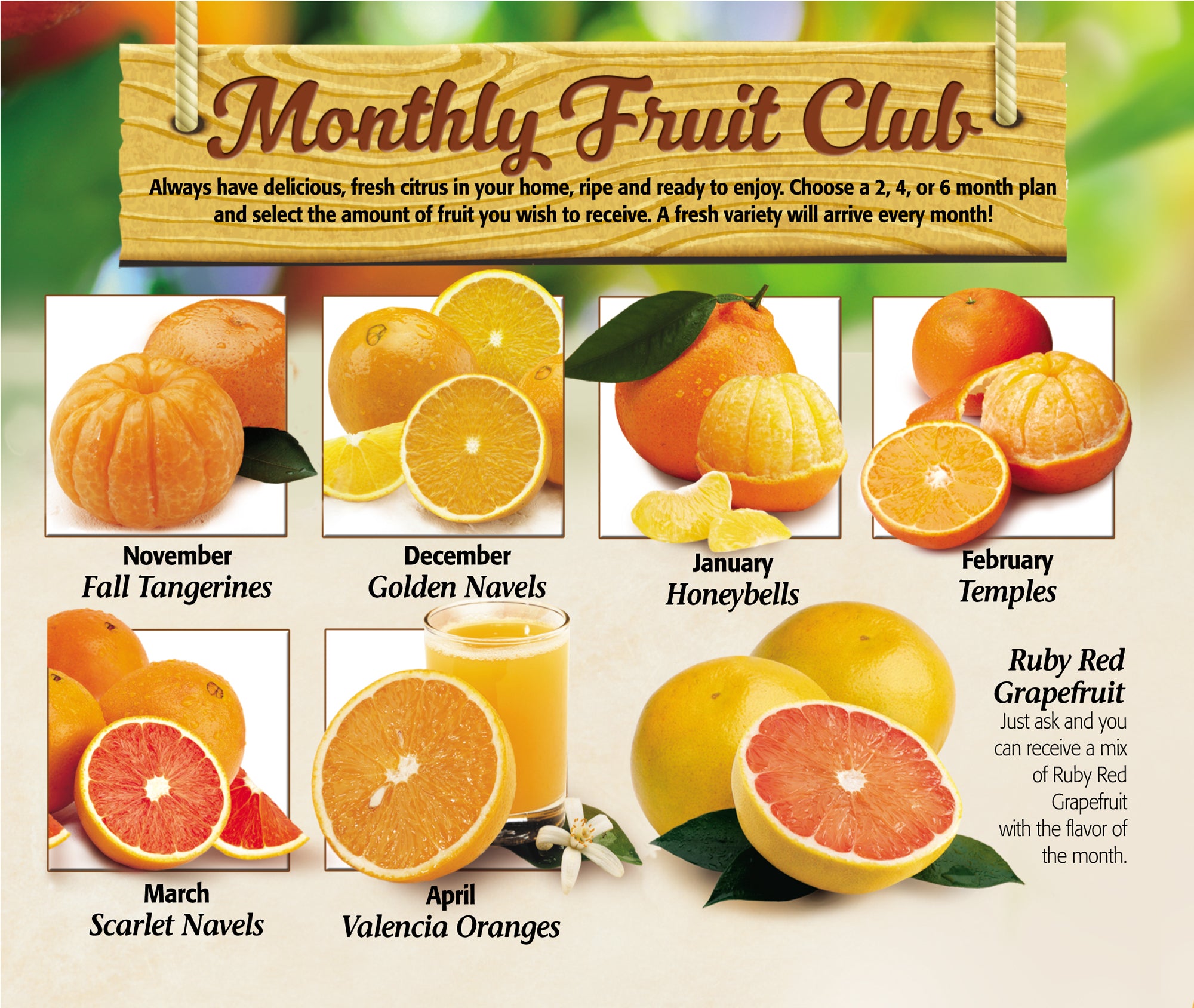 Fruit of the Month Club