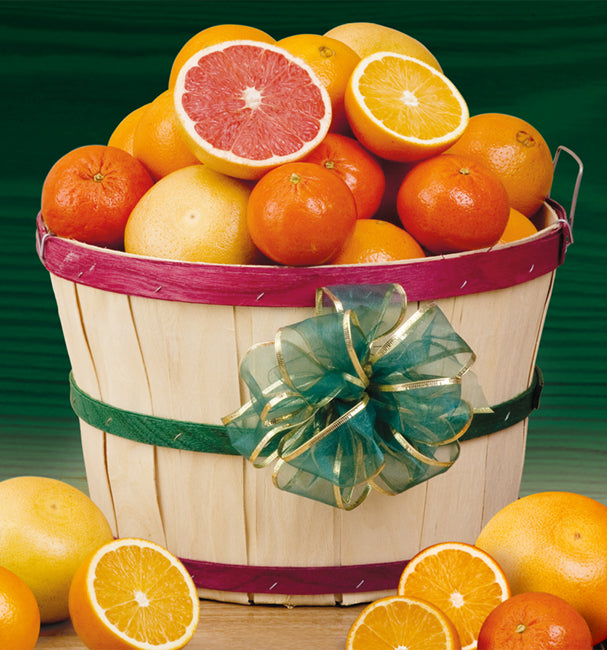 Fruit Gift Basket with Florida Citrus from Hyatt Fruit Company of Indian River County Florida