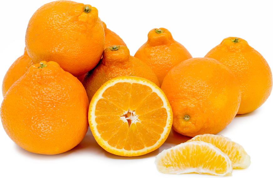 Oranges - Tangelos