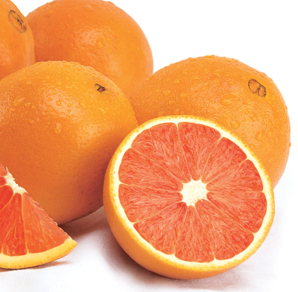 Scarlet Navel Orange Variety - Florida Citrus Gift Fruit Shipping