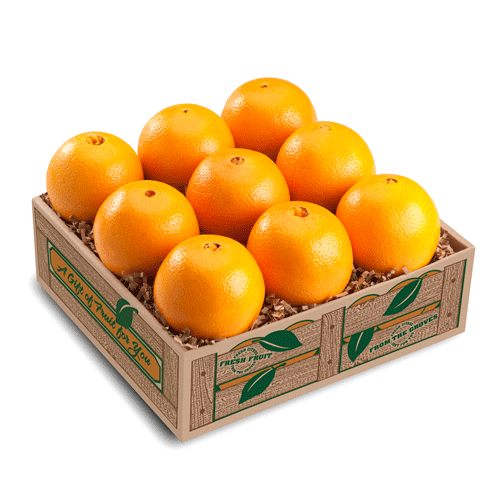 Scarlet Navel Oranges Taster, Small One-person Healthy Citrus Gift Box