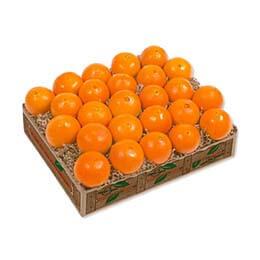 Petite Sweet Scarlet Navel Oranges