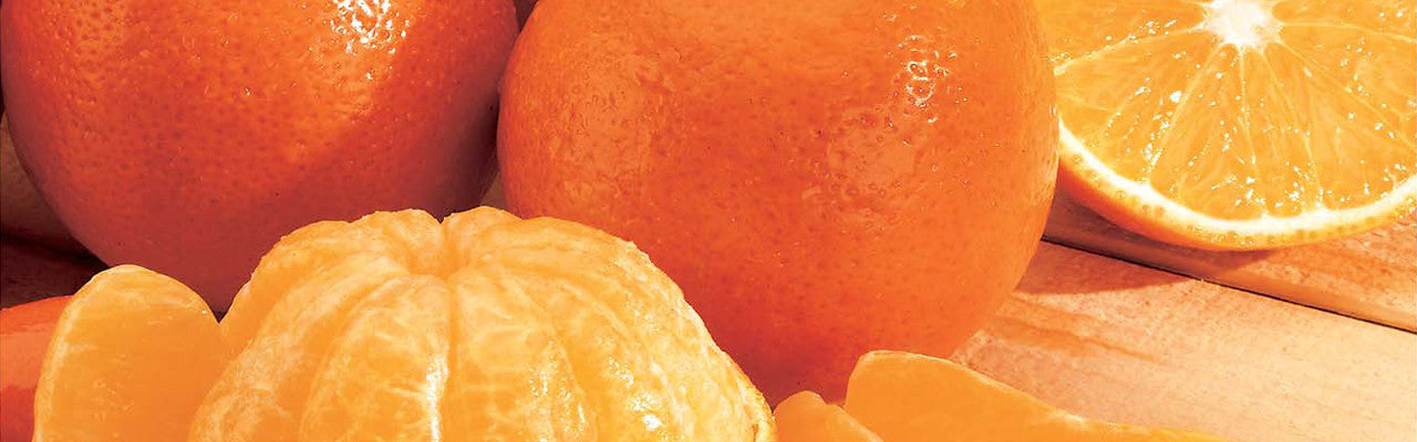 Florida Oranges and Grapefruit from Hyatt Fruit Company