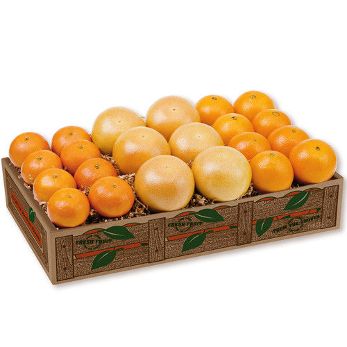 【激レア】　citrus 缶バッジ　缶バッチ　4個セット　新品・未開封品　美品 EC3rd_lls_canset_muse_Printemp