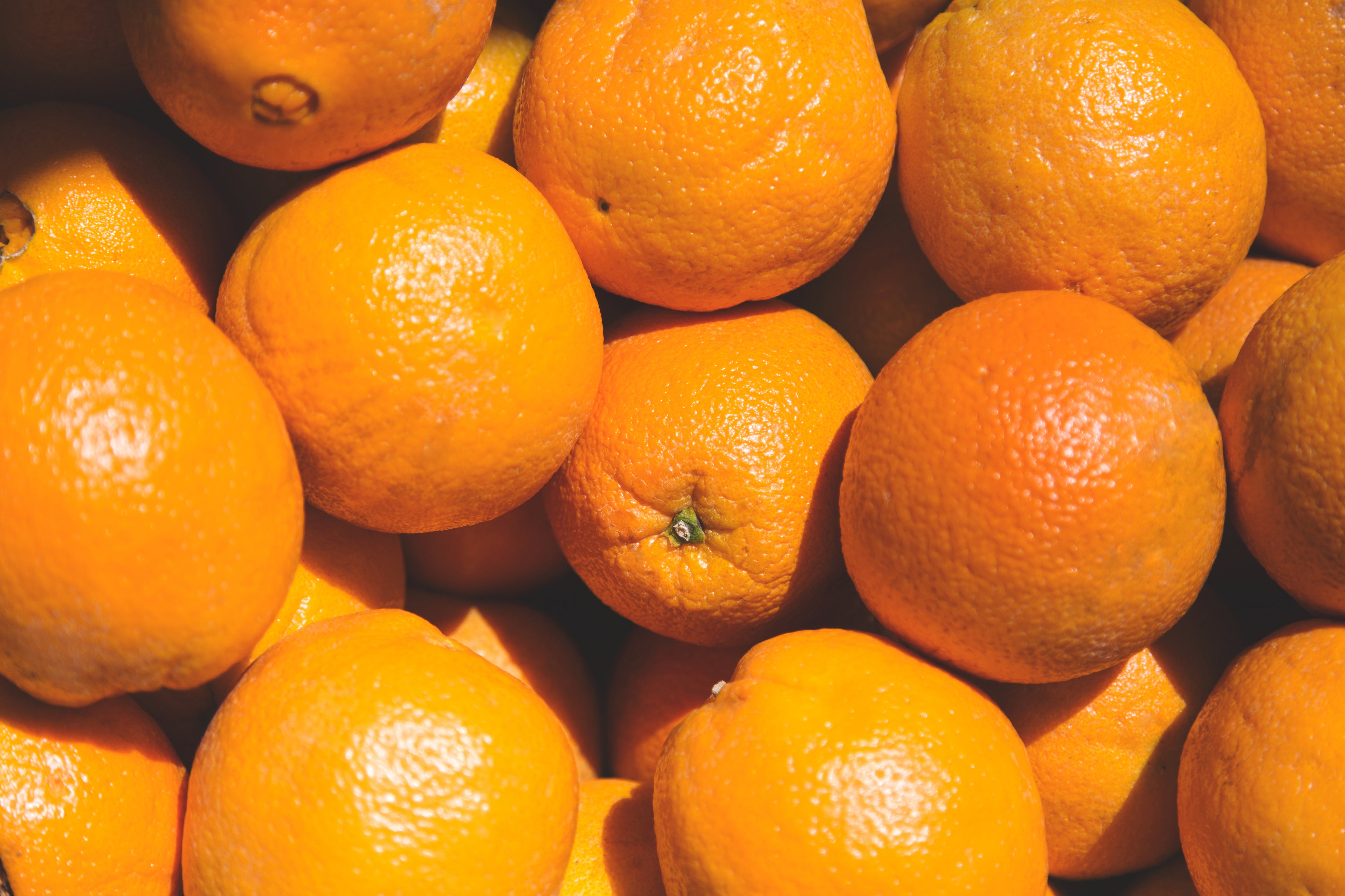 Close-up of Florida's bright orange Navel Oranges.