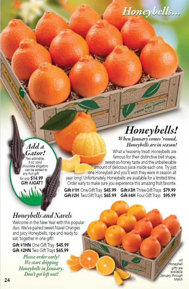 ◎9月特典◎ꕤ*˸ハチミツ柚出品✻*˸ꕤ Florida Honeybells, Grove-fresh Citrus Gift Box