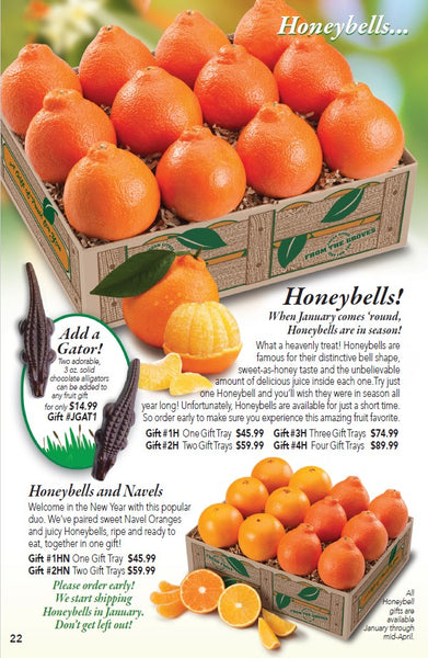 Florida Honeybells and Navels (Shipping begins in January)