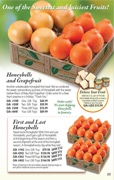 First and Last Florida Honeybells (Shipping begins in January)