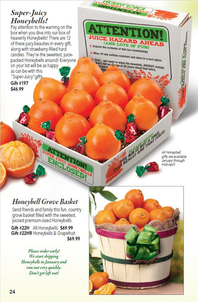 Super-Juicy Honeybell Oranges (Shipping begins in January)