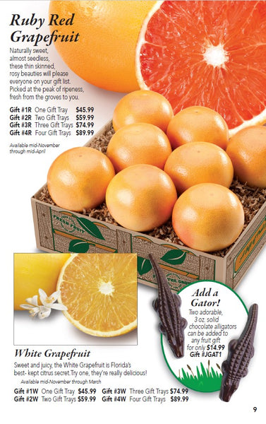 White Grapefruit, fruit gift baskets, Hyatt Fruit Company of Indian River County, Florida