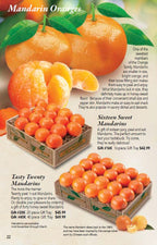 16, 20 and 40 piece Mandarin Orange Gift Boxes pictured on Hyatt Fruit Company Catalog page 22.
