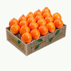 Petite Sweet Honeybells gift box of Florida Citrus from Hyatt Fruit Company