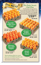 Petite Sweet Club Plan showing 4 boxes of fresh oranges delivery from Hyatt Fruit Company of Vero Beach Florida.