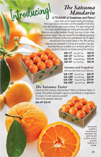 A promotional image featuring The Satsuma Mandarin citrus fruit in a box with pricing details and vibrant colors.