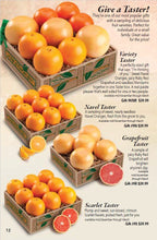 Variety Citrus Taster box with Navel Oranges, Ruby Red Grapefruit, and Mandarins, includes grapefruit orange.