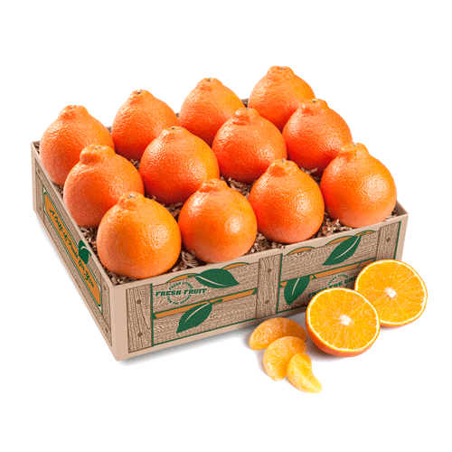 Box of Florida Honeybells - Hyatt Fruit Company of Florida