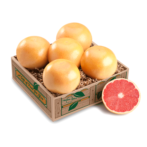 Grapefruit Taster - Hyatt Fruit Co
