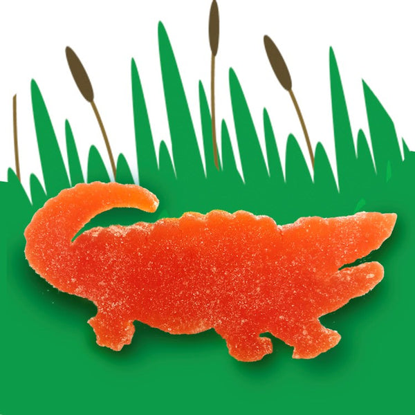 Orange Citrus Alligator Candy