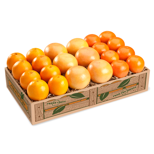 Holiday Grand Slam Florida Gift Fruit Box 