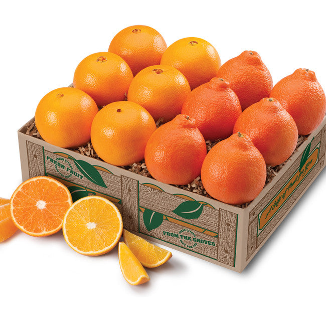 Florida Navel Oranges Taster Affordable Fruit Gift Box - Hyatt Fruit Company