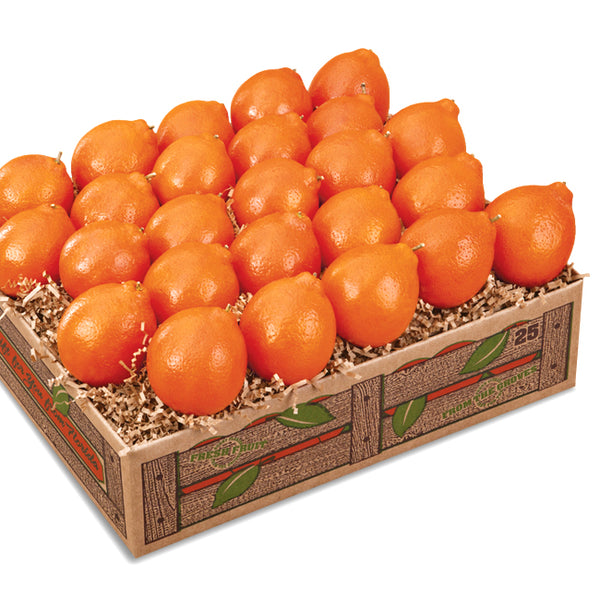 Petite Sweet Honeybells - FLorida Citrus Gifts from Hyatt Fruit Company