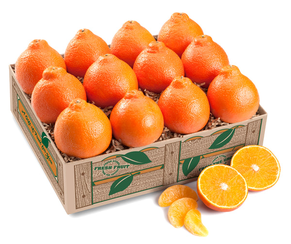 Florida Honeybells - Citrus Fruit Gift