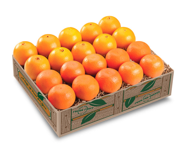 Mandarin and Navel Oranges Combination Gift Box - Hyatt Fruit Company