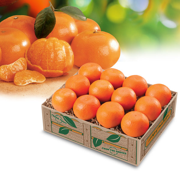 Mandarin Oranges Gift Box