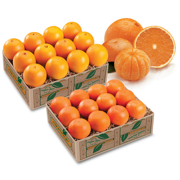Mandarin and Navel Oranges