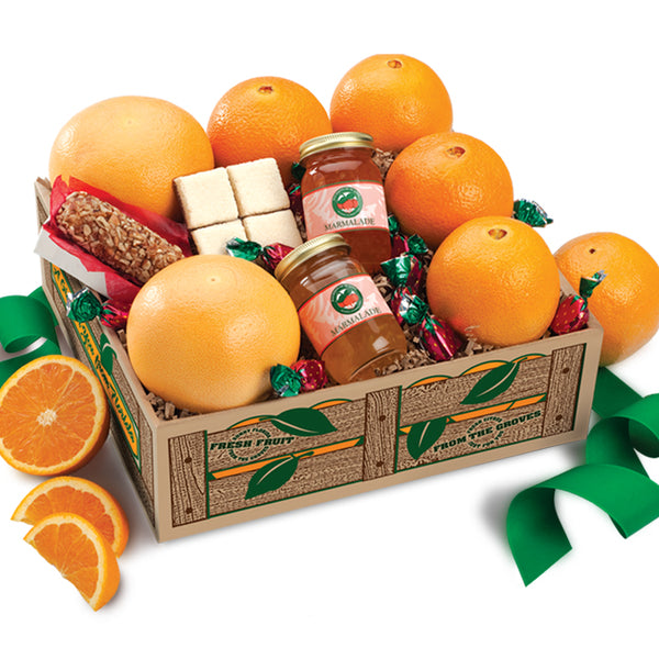 Florida Navel Oranges Taster Affordable Fruit Gift Box - Hyatt Fruit Company