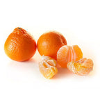 Honeybells from Florida