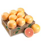Ruby Red Grapefruit in a printed gift box - Hyatt Fruit Company, Vero Beach, Florida