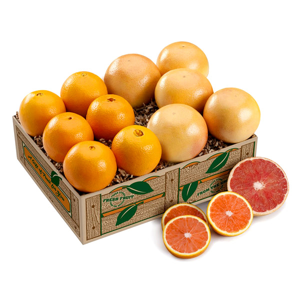 Scarlet Navel Oranges + Ruby Red Grapefruit shipped by Hyatt Fruit Company Florida