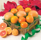 Sun-Kissed Sampler - 4 Citrus Varieties of oranges and grapefruit in a gift box for delivery.