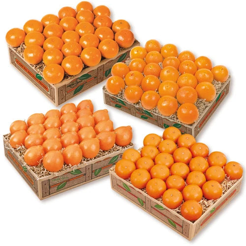 Petite Sweet Oranges Fruit of the Month Club Plan - Hyatt Fruit Company
